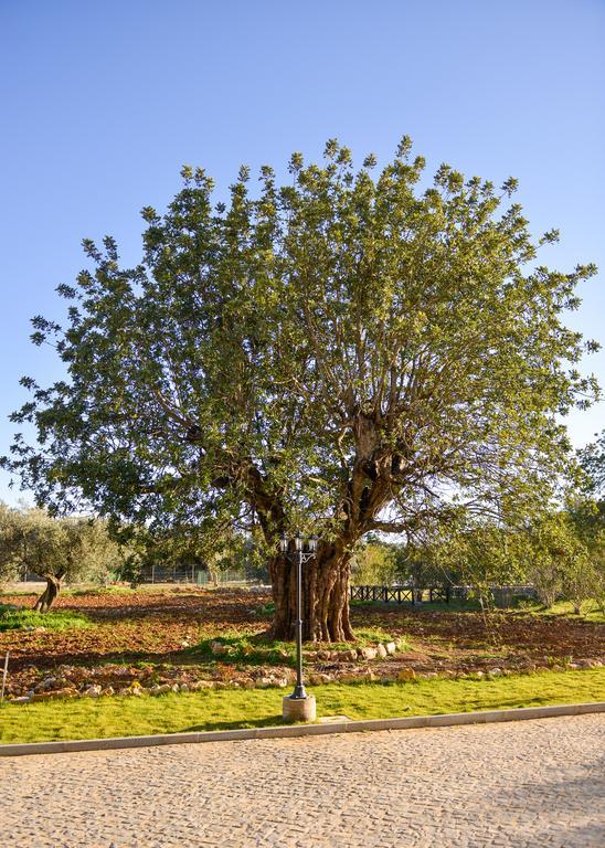 Quinta Dos Tesouros Villa São Brás de Alportel Exterior foto